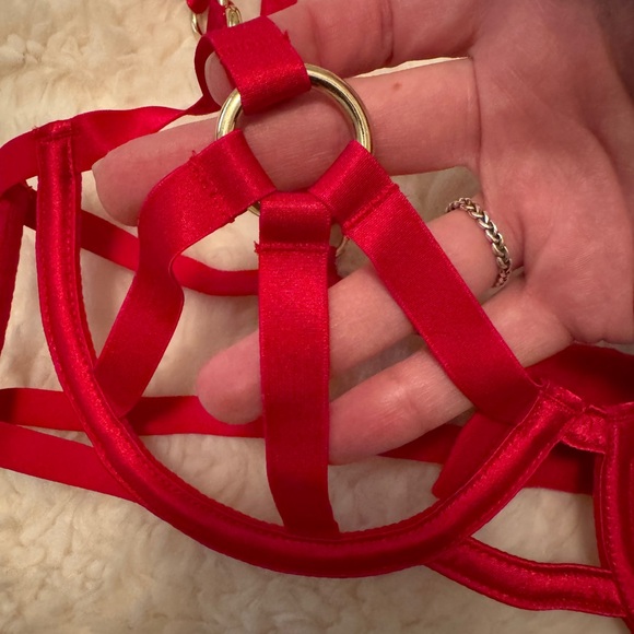 NWOT Victoria’s Secret cage detail lingerie - Picture 4 of 8